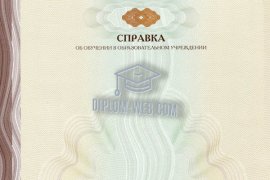 Академическая справка с 2014 по 2025 годы