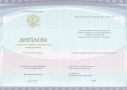 Диплом колледжа с 2014 по 2025 годы
