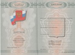 Диплом ПТУ (Училище) с 2007 по 2010 годы