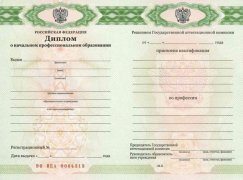 Диплом ПТУ (Училище) с 2011 по 2025 годы