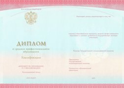 Красный диплом техникума колледжа с 2014 по 2025 годы