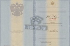 Диплом специалиста с отличием 2012-2013 гг.
